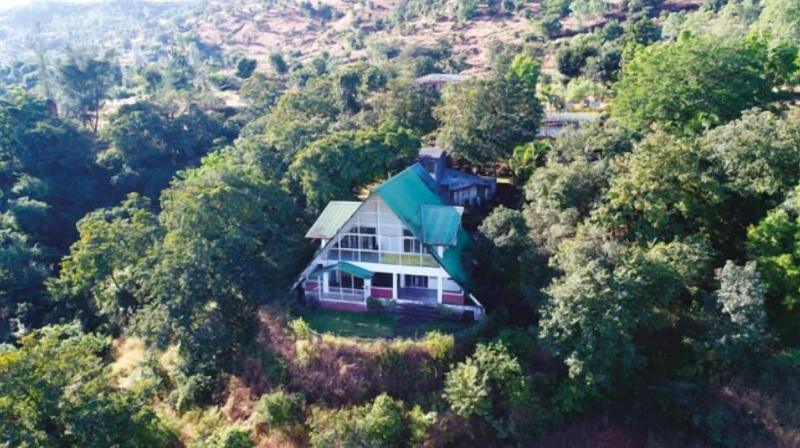 Wind Chalet Resort — general view