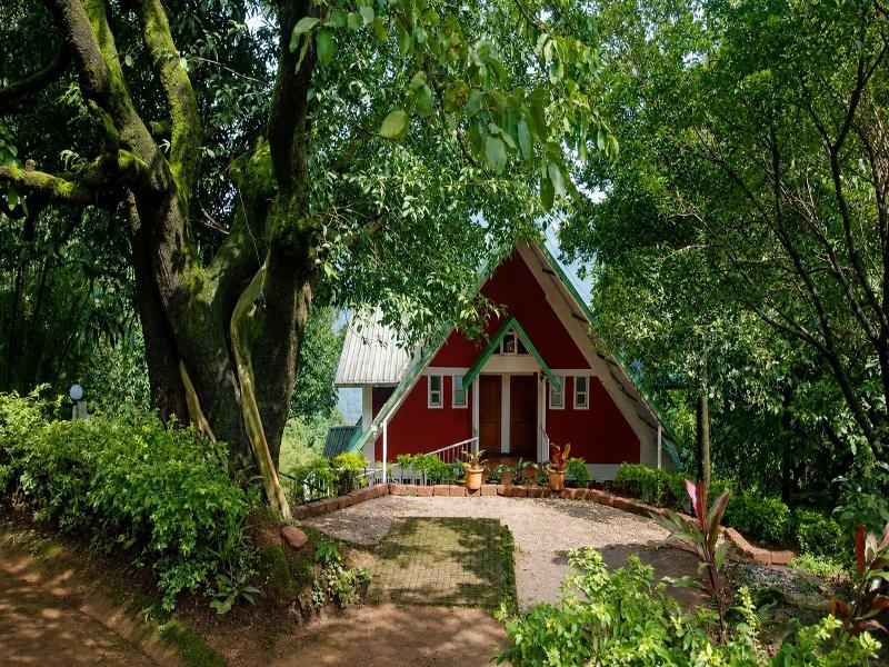 Wind Chalet Resort