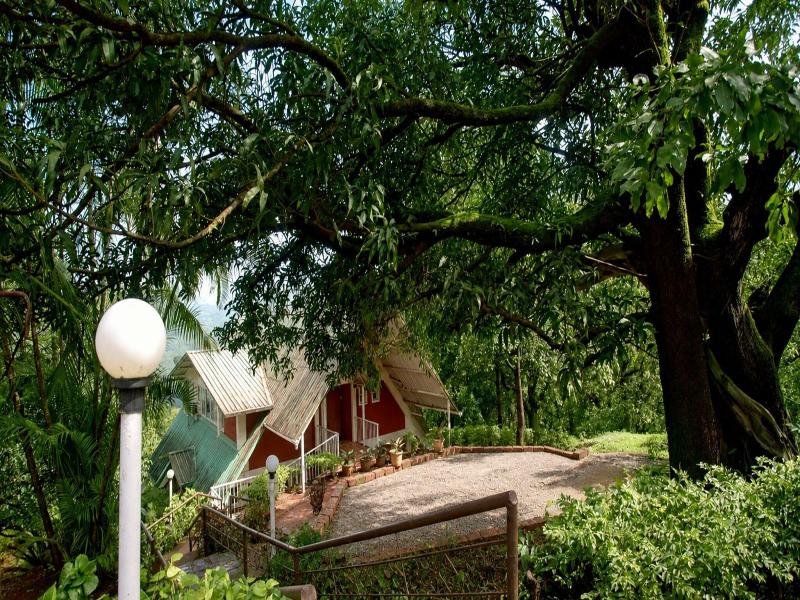 Wind Chalet Resort