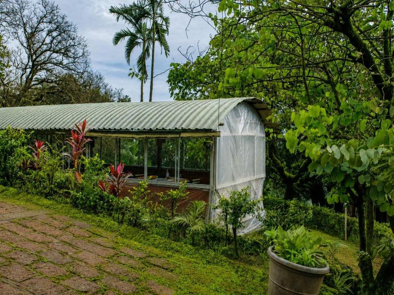 Wind Chalet Resort