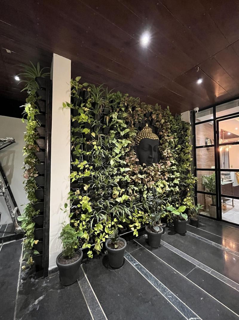 Hotel Lunar Stays image