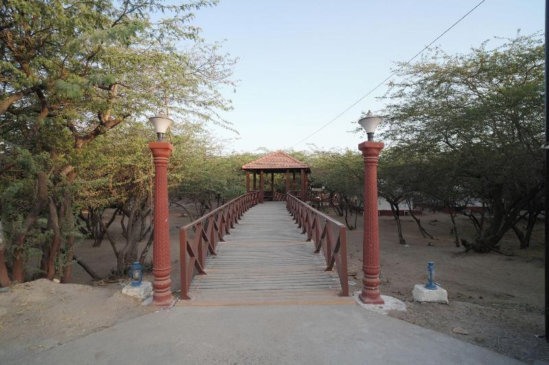 Palace Beach Camp