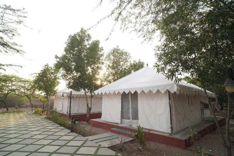 Palace Beach Camp