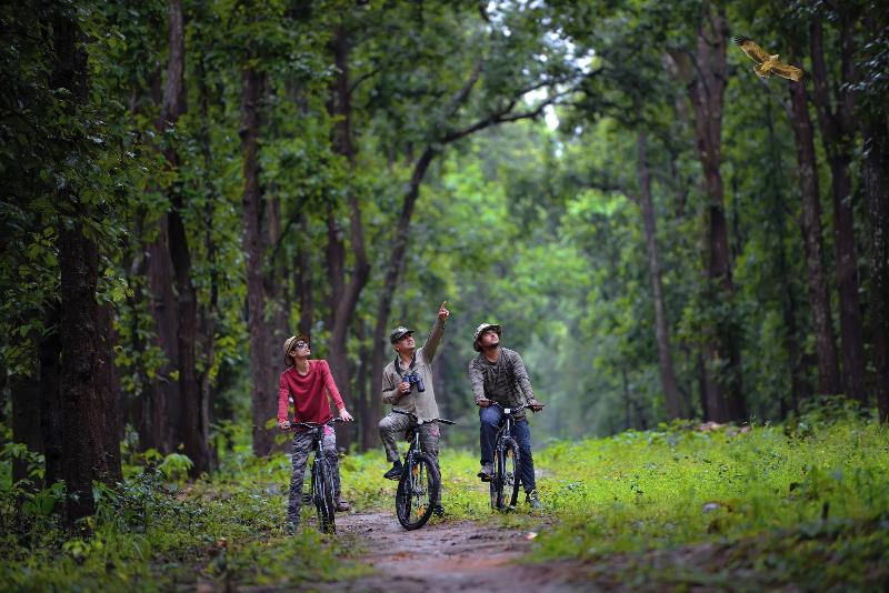 Aranyak Resort Kanha image