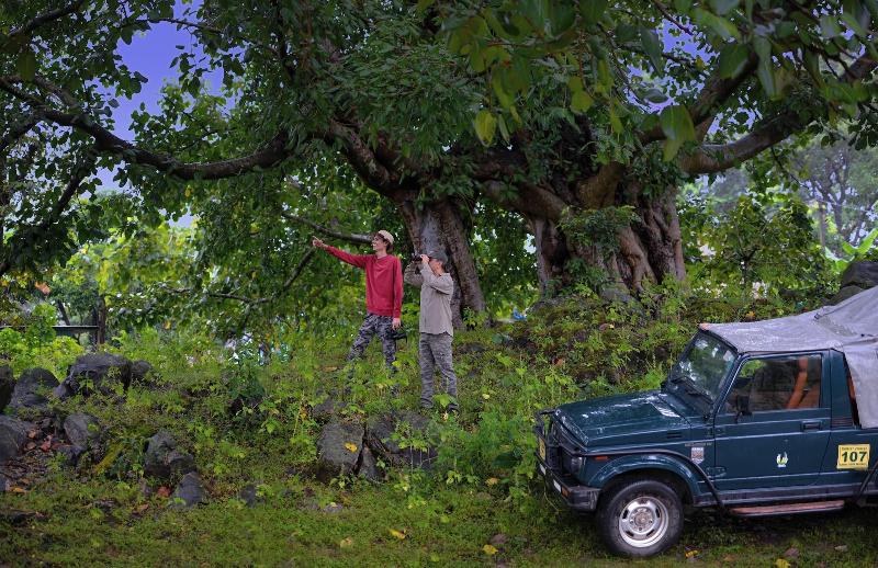 Aranyak Resort Kanha image