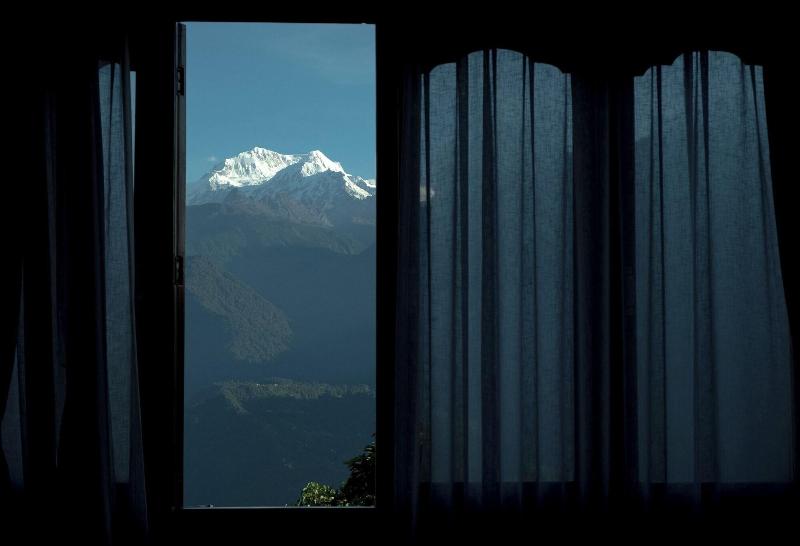 Amani Pelling image
