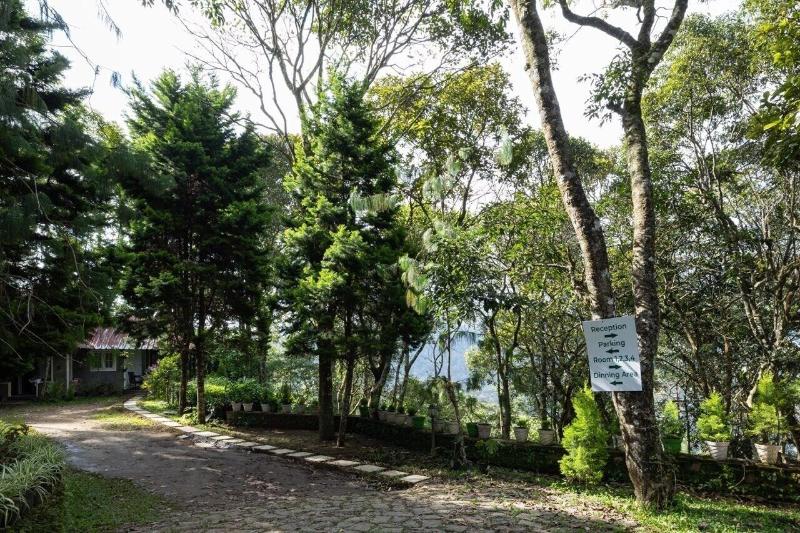 Avadale Munnar - Stag Groups Not Allowed image