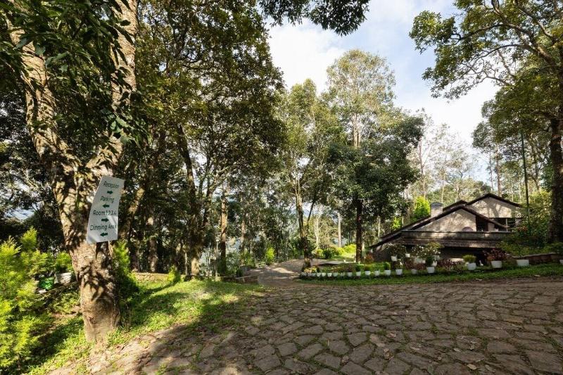 Avadale Munnar - Stag Groups Not Allowed image