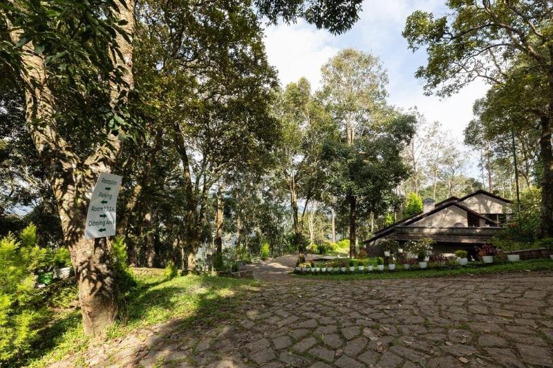 Avadale Munnar - Stag Groups Not Allowed — general view