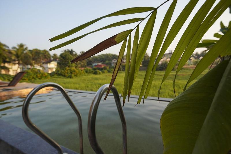 Apricus Brisa Marina image