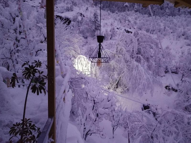 Elegance Retreat Manali Luxury Stay image