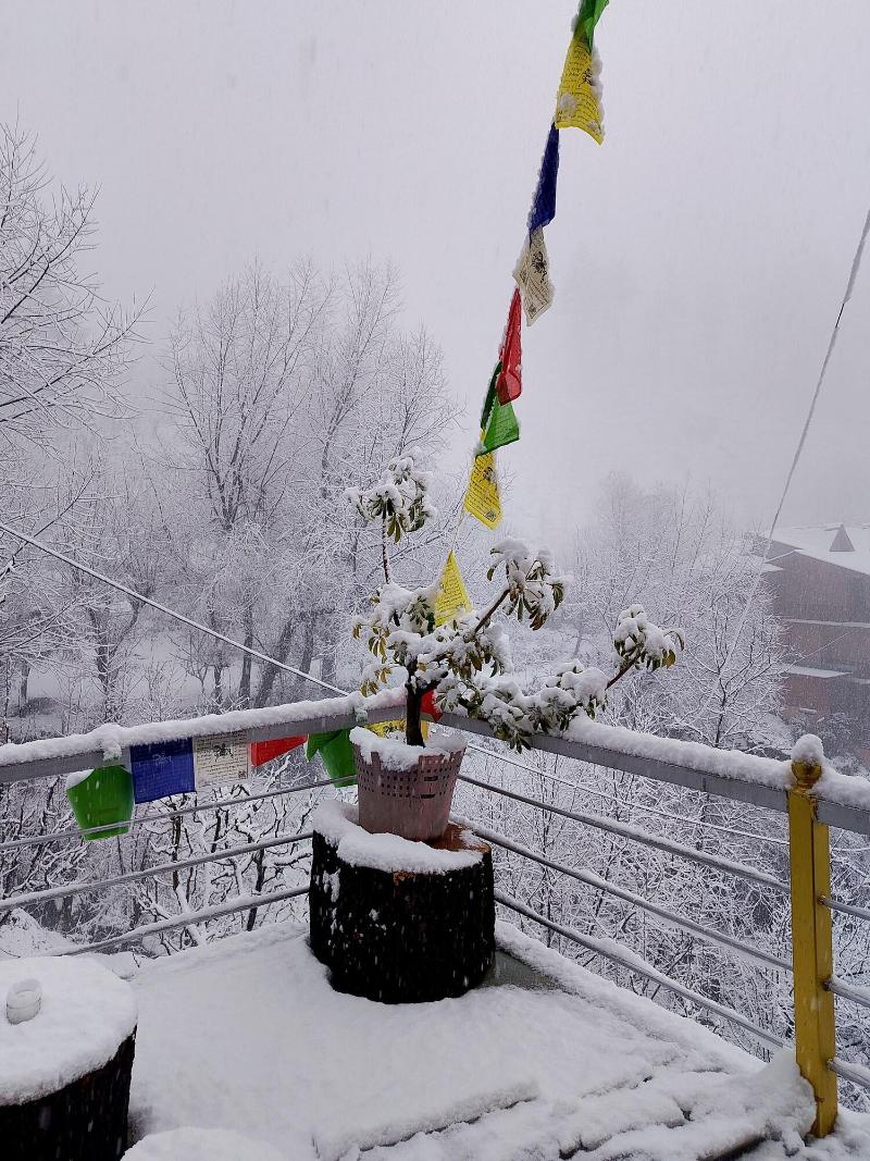 Elegance Retreat Manali Luxury Stay image