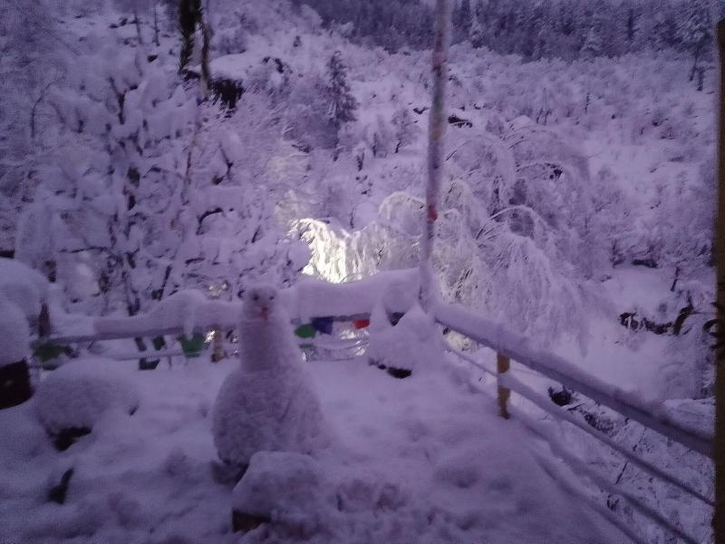 Elegance Retreat Manali Luxury Stay image
