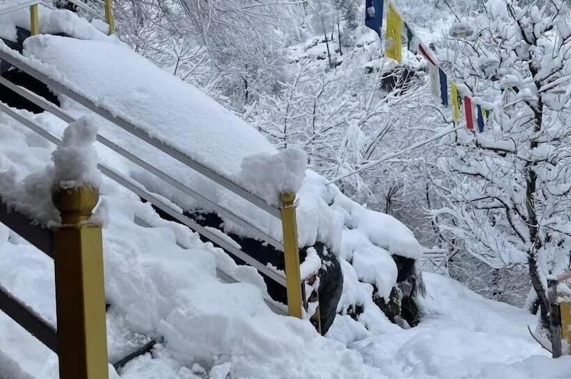 Elegance Retreat Manali Luxury Stay image