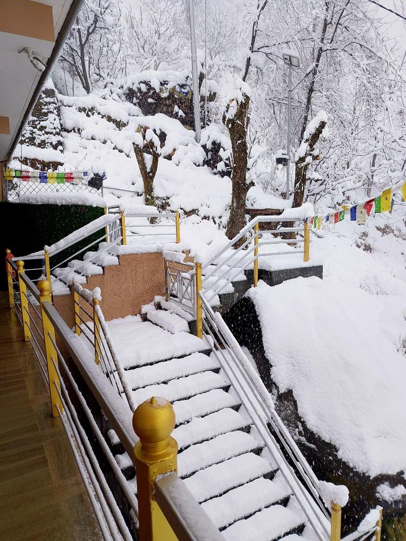 Elegance Retreat Manali Luxury Stay image