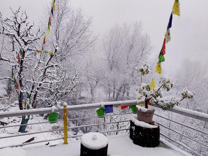 Elegance Retreat Manali Luxury Stay image