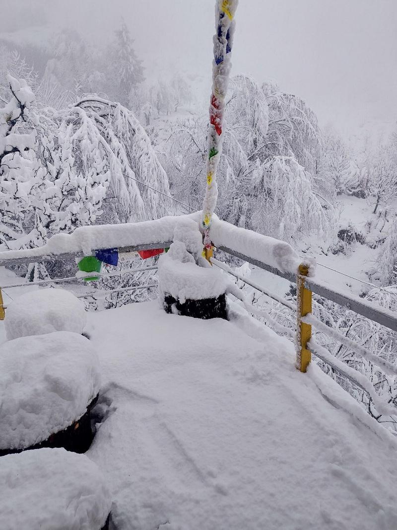 Elegance Retreat Manali Luxury Stay image