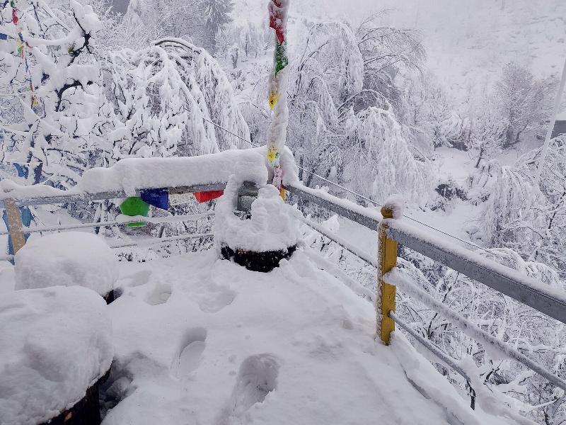 Elegance Retreat Manali Luxury Stay image