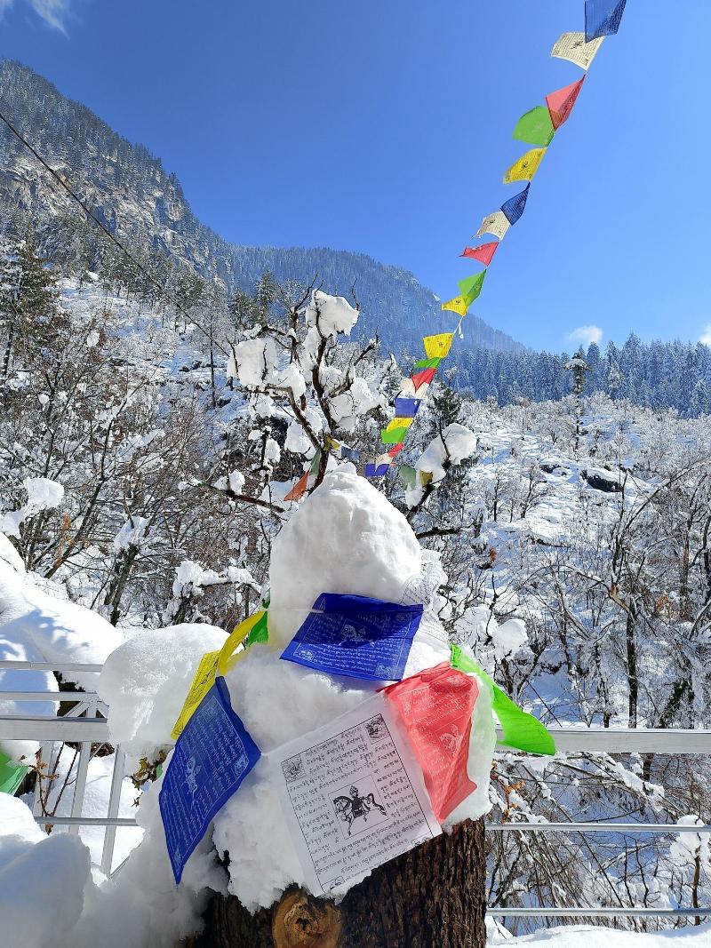 Elegance Retreat Manali Luxury Stay image