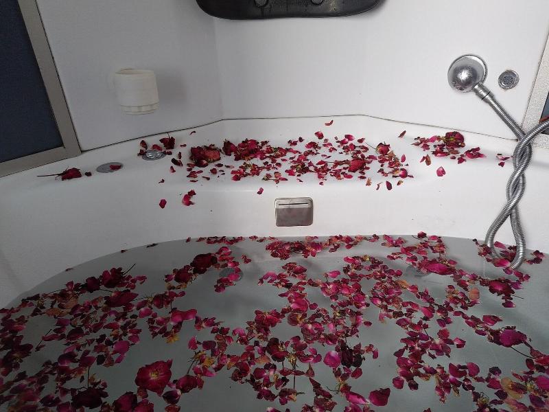 Elegance Retreat Manali Luxury Stay image