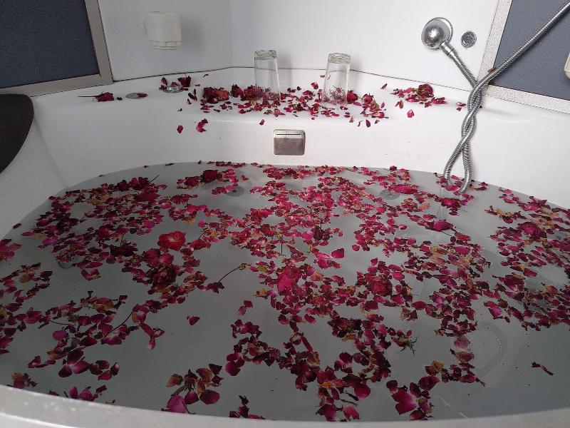 Elegance Retreat Manali Luxury Stay image