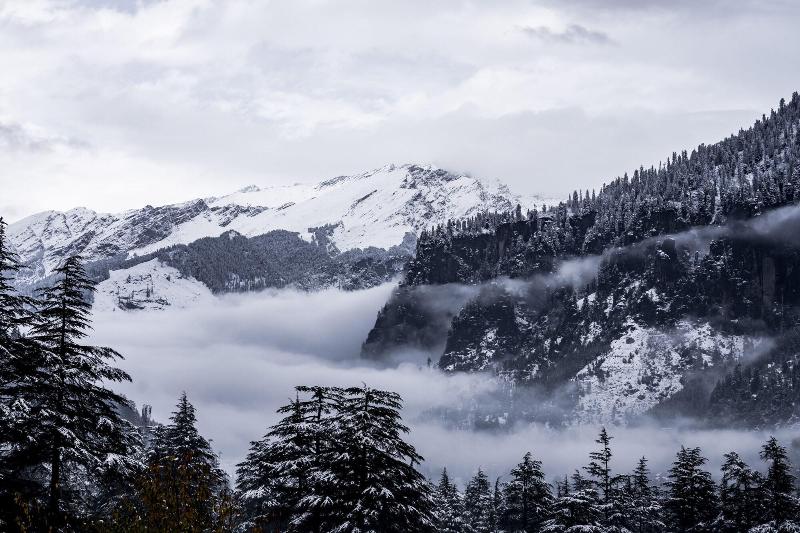 Zen Manali By Keekoo Stays image