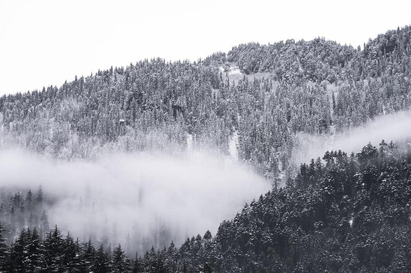 Zen Manali By Keekoo Stays image