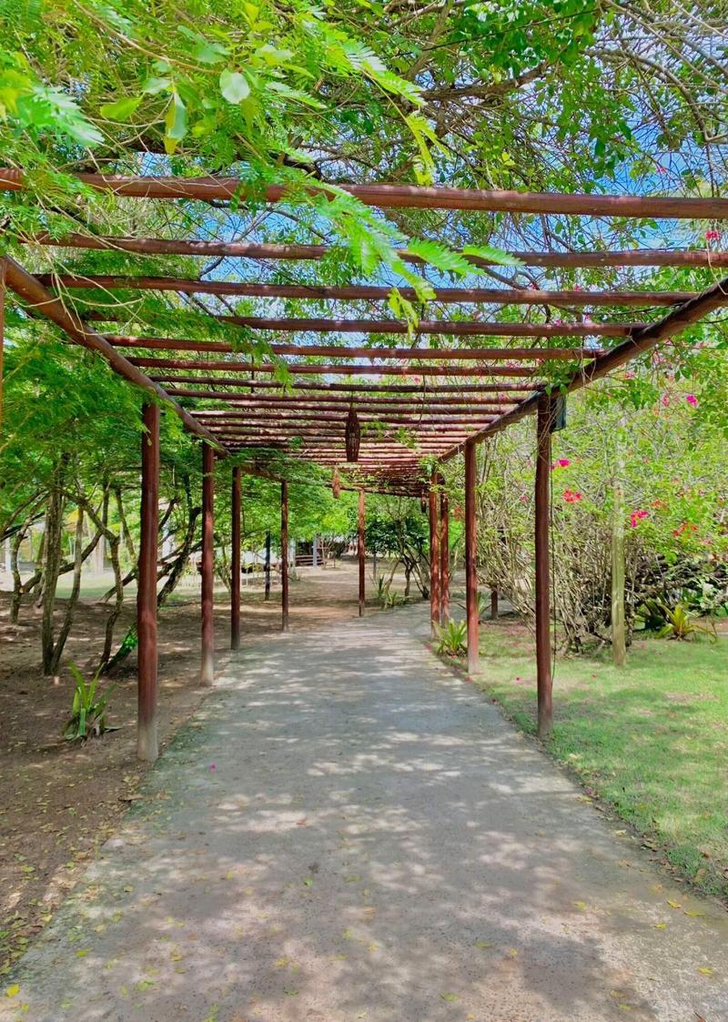 Vivant Eco Beach Hotel image