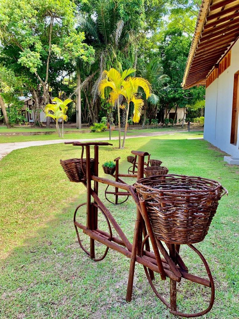 Vivant Eco Beach Hotel image