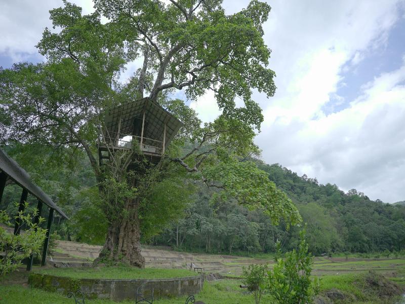 Ella Jungle Resort image