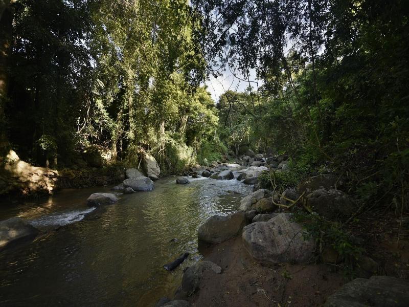 Ella Jungle Resort image