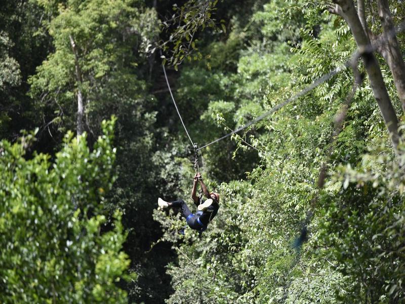 Ella Jungle Resort image