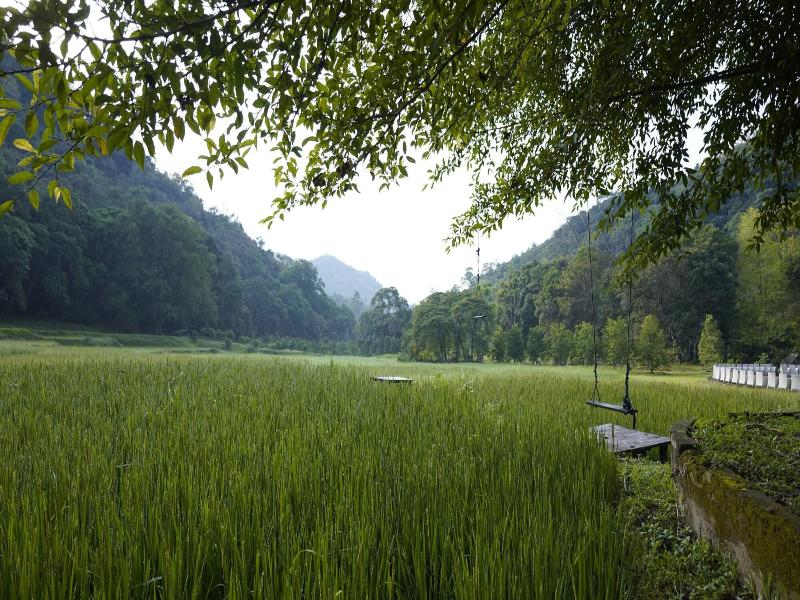 Ella Jungle Resort image