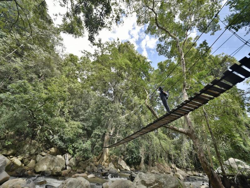 Ella Jungle Resort image