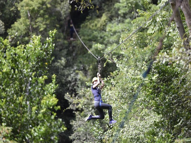 Ella Jungle Resort image