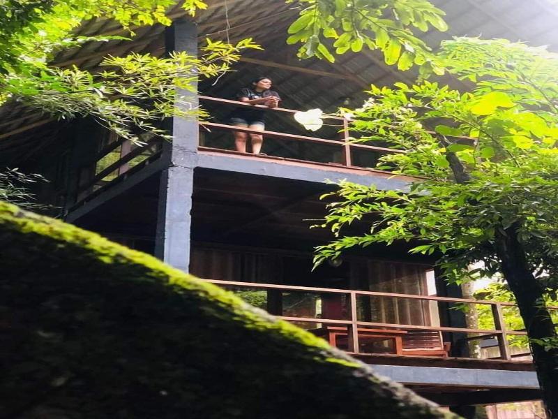 Ella Jungle Resort image