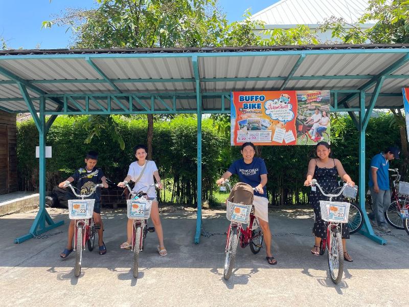 Buffalo Island Resort