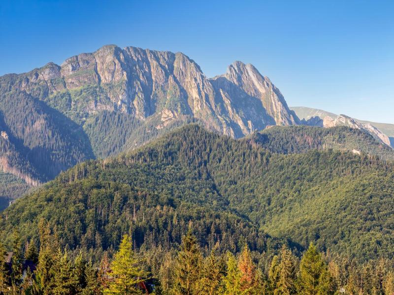 Hotel Rzemieślnik Zakopane image