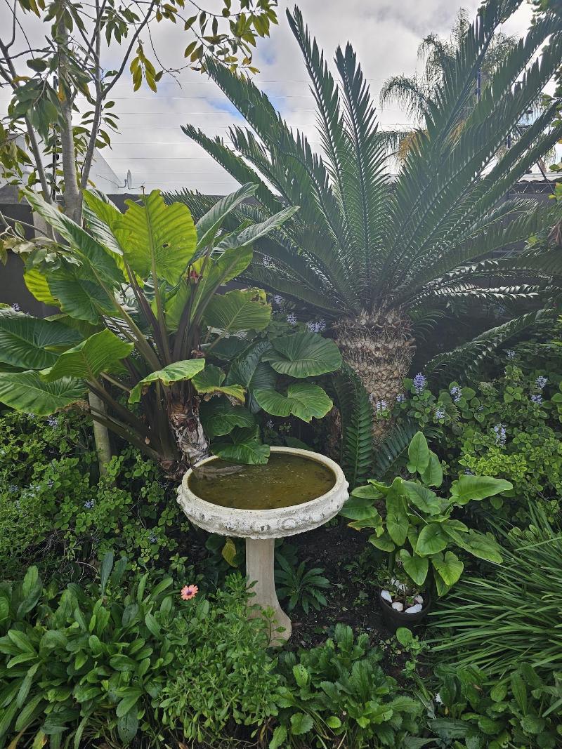 Baruch Guest House on Lovell image