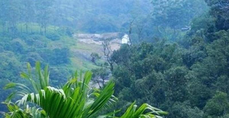 Green Trees Munnar image