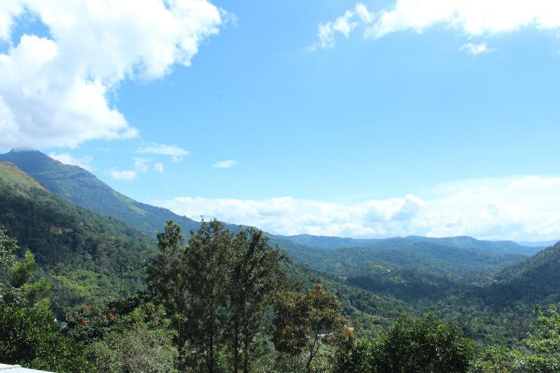 Green Trees Munnar image
