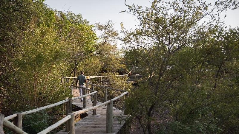 Mashatu Lodge image