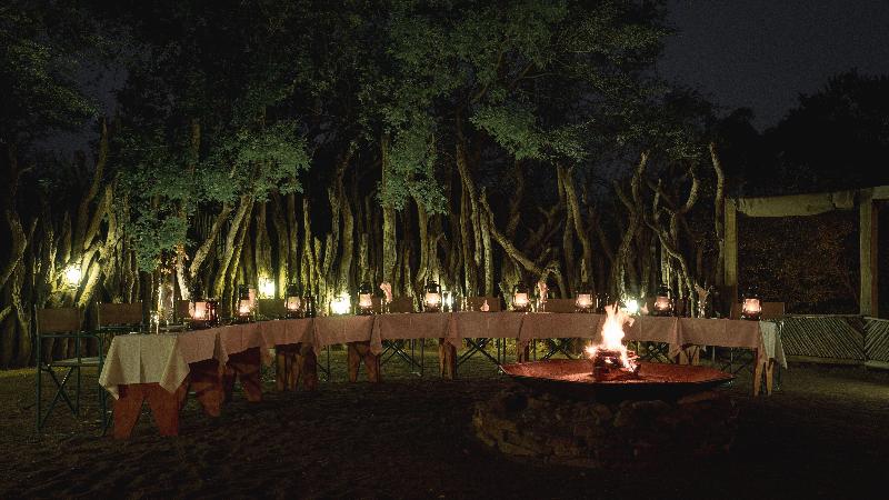 Mashatu Lodge image 1