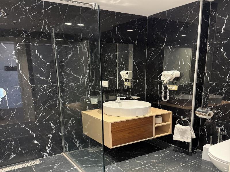 Adria Palace Hotel image