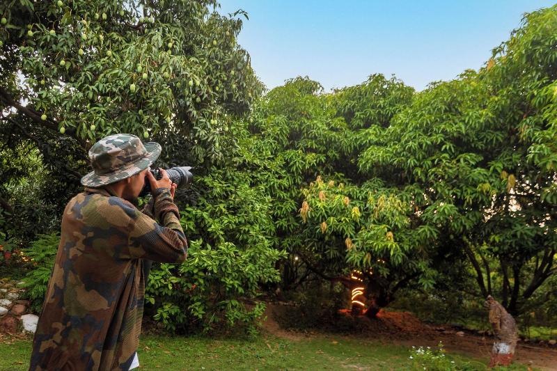 Shekhar Corbett By First Crown image