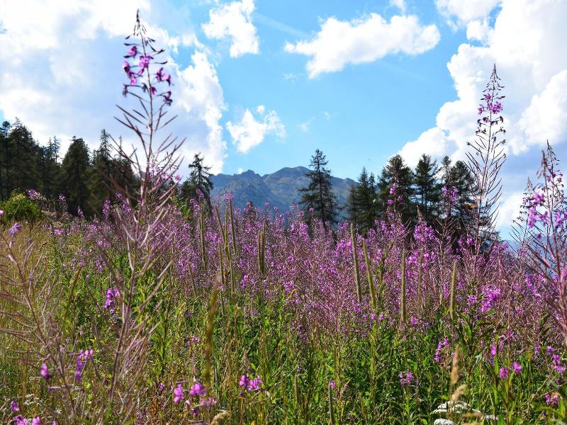 Auberge De Jeunesse Hi Serre Chevalier image