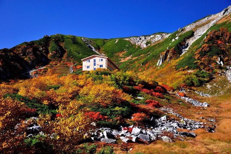 Suzuranso image
