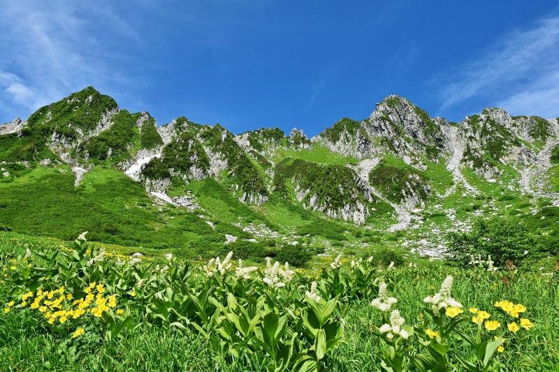 Suzuranso image