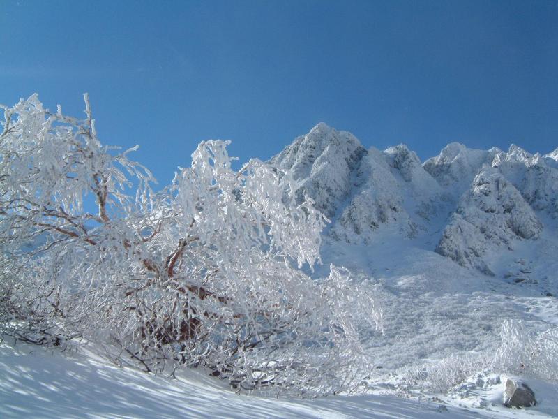 Suzuranso image