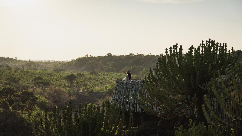 Euphorbia Mashatu image